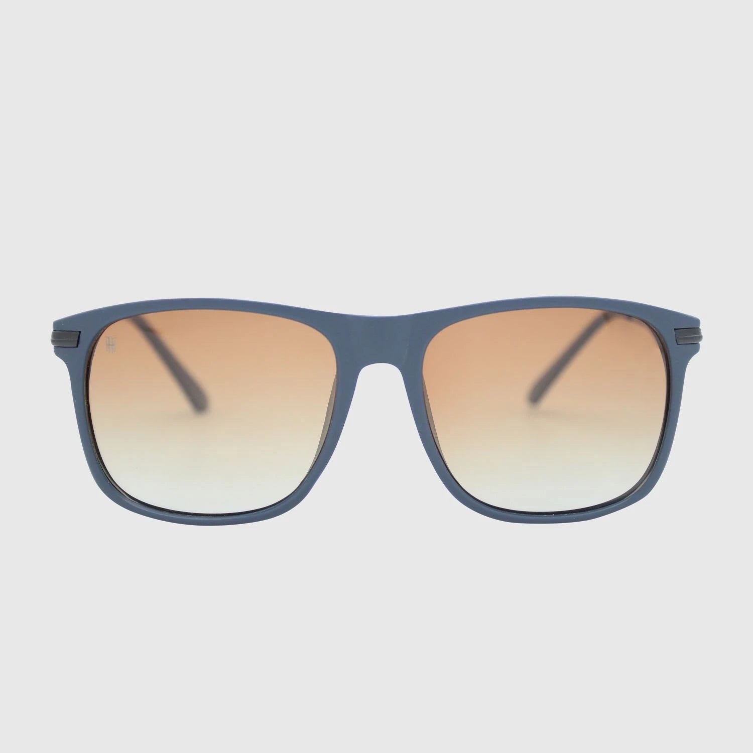 Zinger Wayfarer Sunglasses